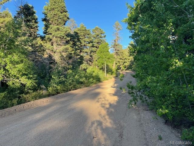 Lot 5693 Balleroy Road San Luis CO 81152