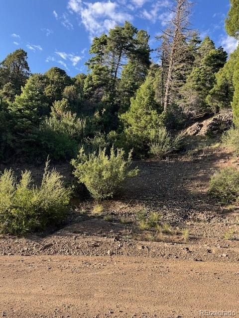 Lot 5693 Balleroy Road San Luis CO 81152
