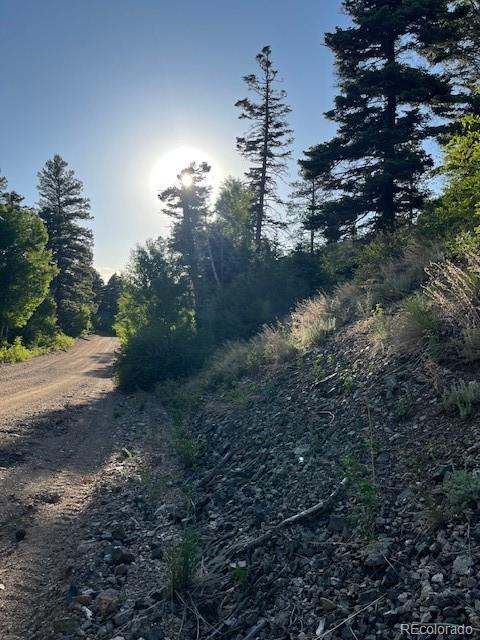 Lot 5693 Balleroy Road San Luis CO 81152