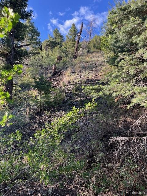 Lot 5693 Balleroy Road San Luis CO 81152