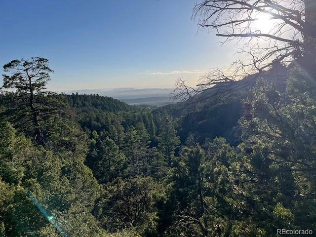 Lot 5693 Balleroy Road San Luis CO 81152