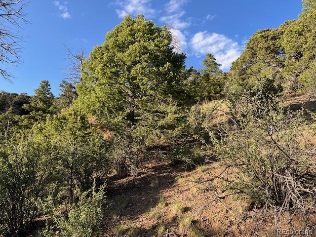 Lot 5693 Balleroy Road San Luis CO 81152