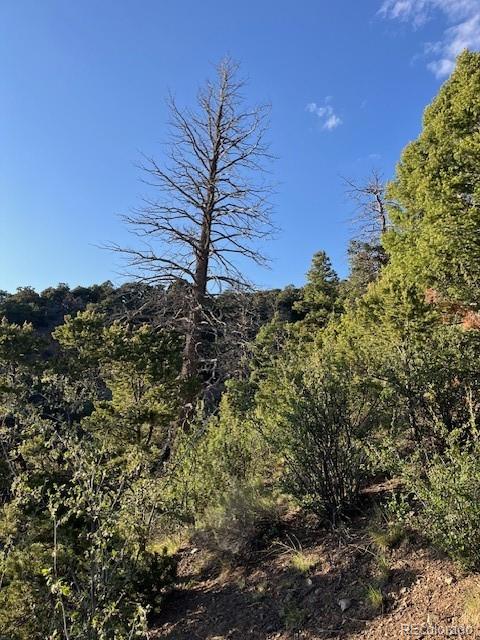 Lot 5693 Balleroy Road San Luis CO 81152