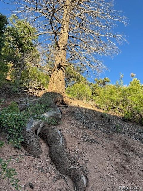 Lot 5693 Balleroy Road San Luis CO 81152