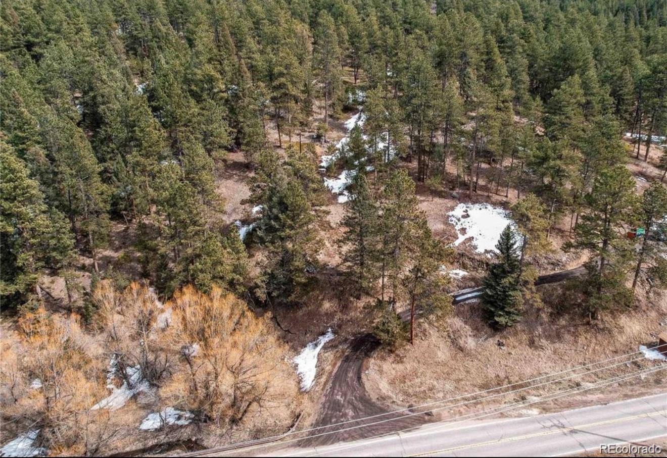7438 S Turkey Creek Road Morrison CO 80465