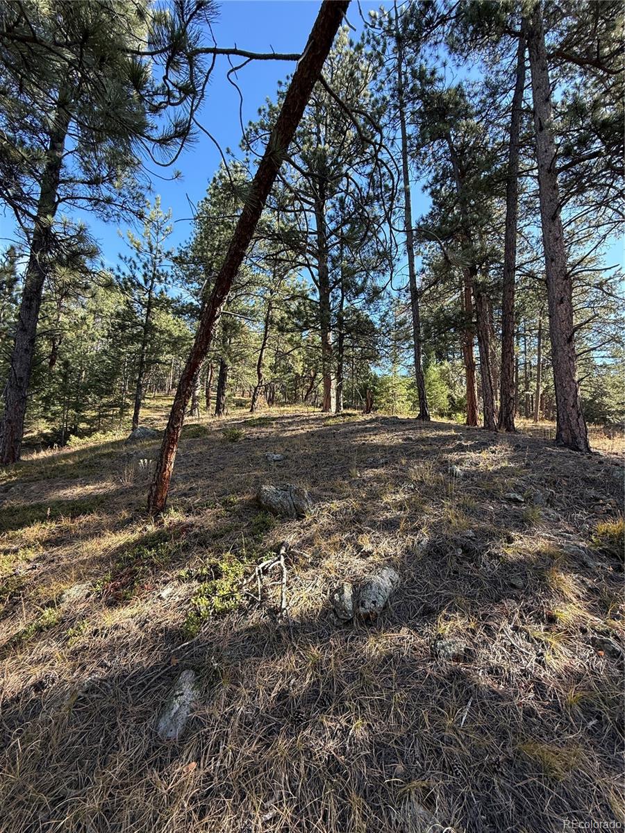 7438 S Turkey Creek Road Morrison CO 80465