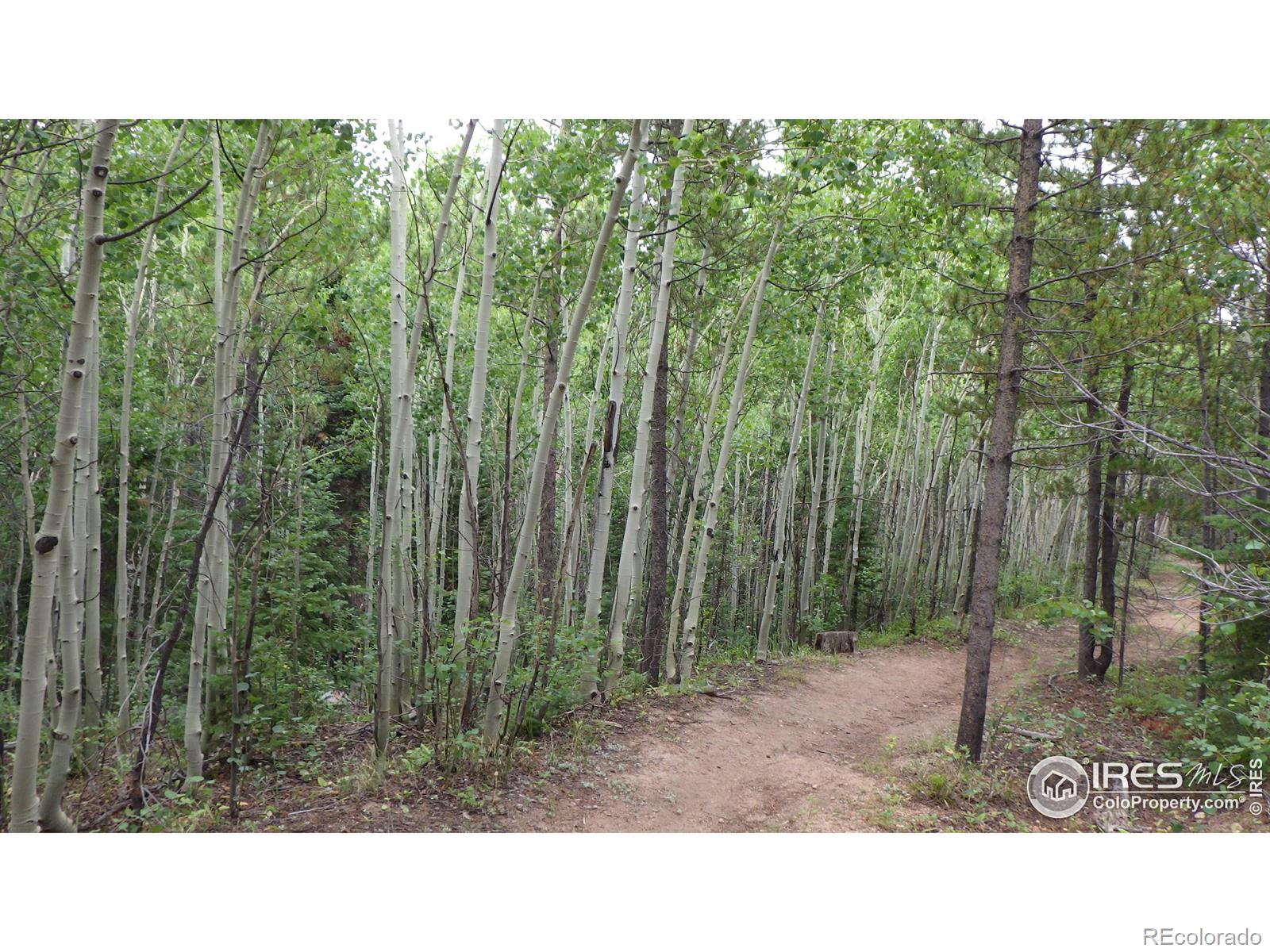 60 Comanito Court Red Feather Lakes CO 80545