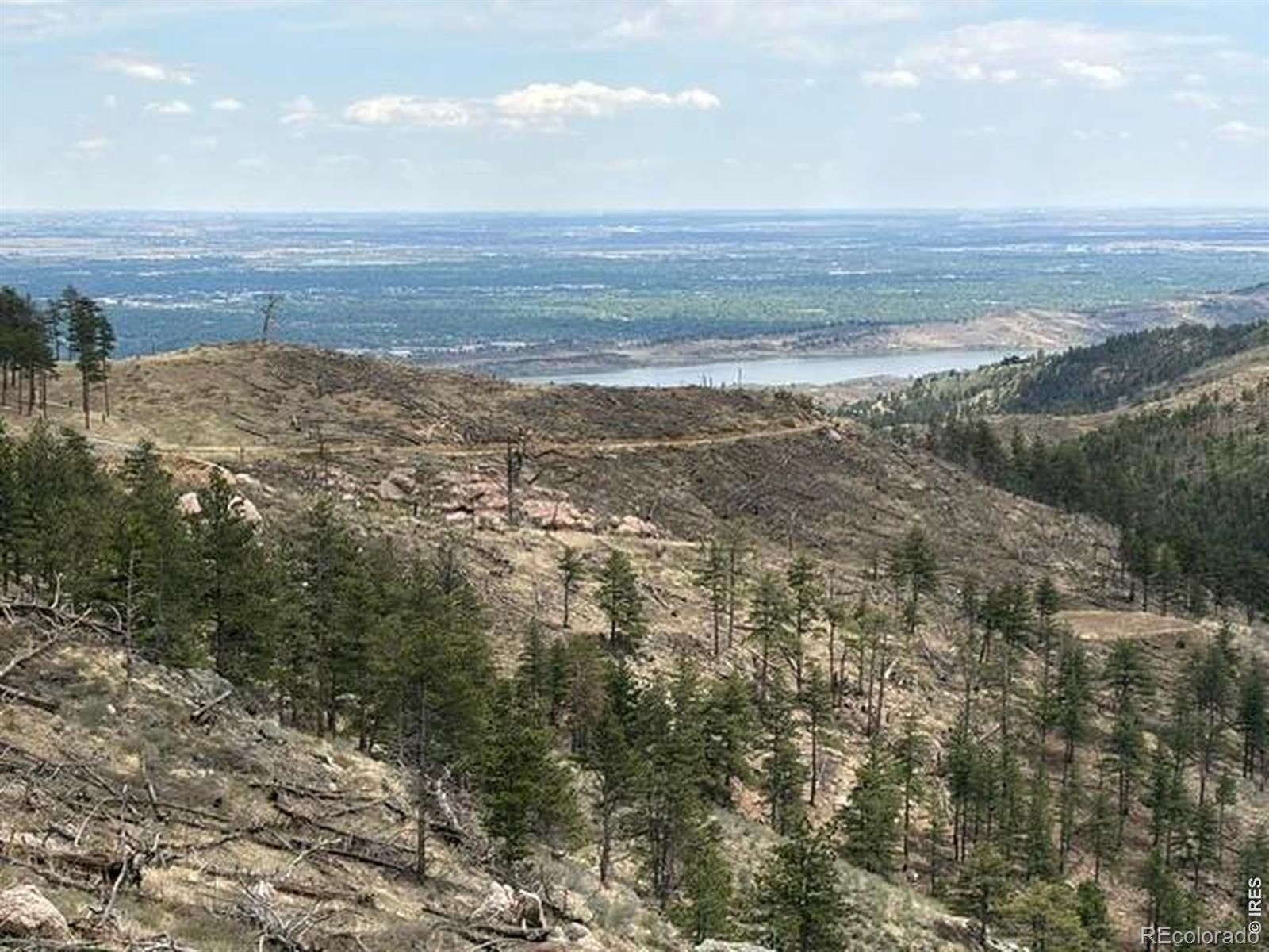 711 Saddle Ridge Road Bellvue CO 80512