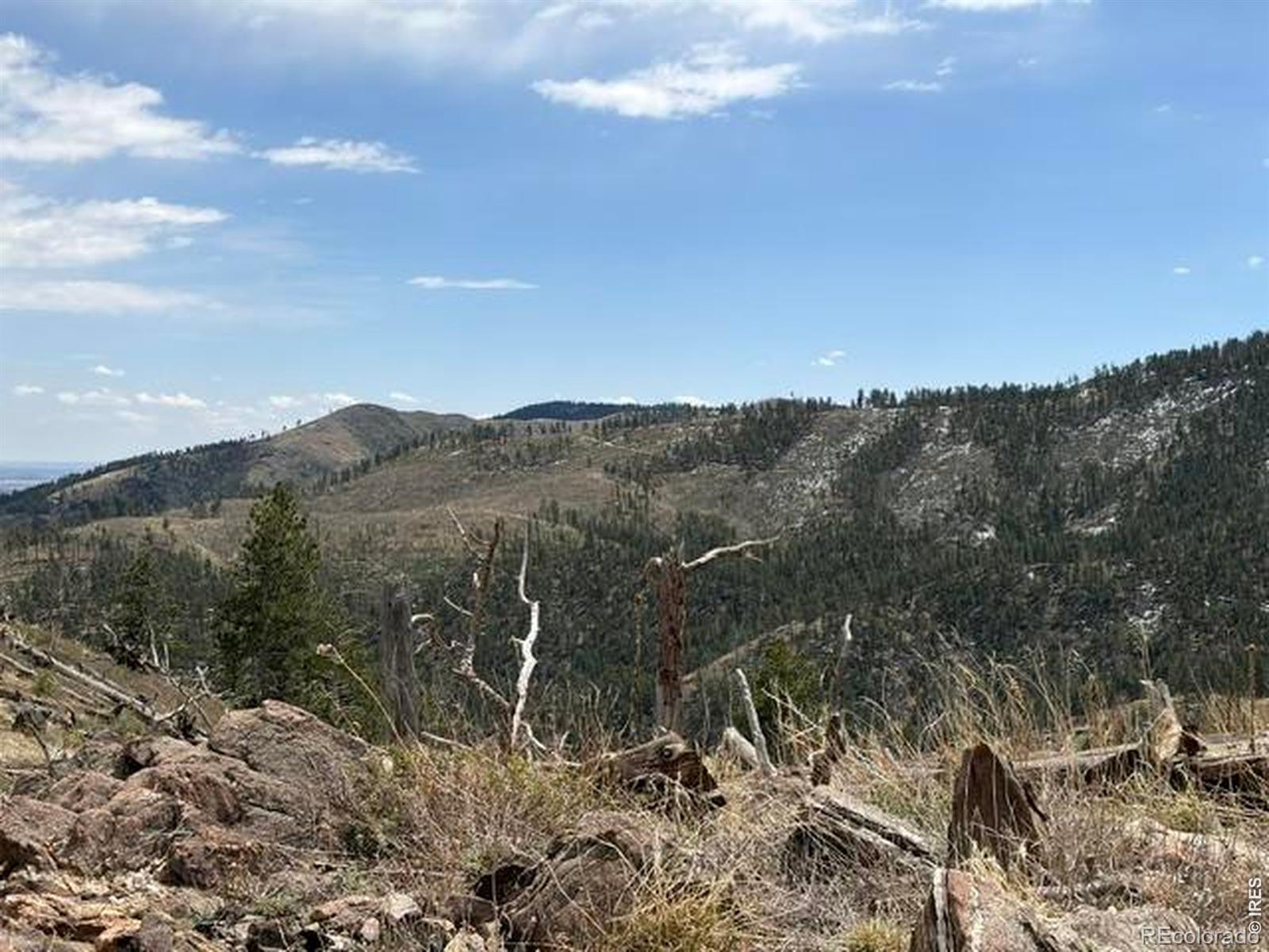 711 Saddle Ridge Road Bellvue CO 80512