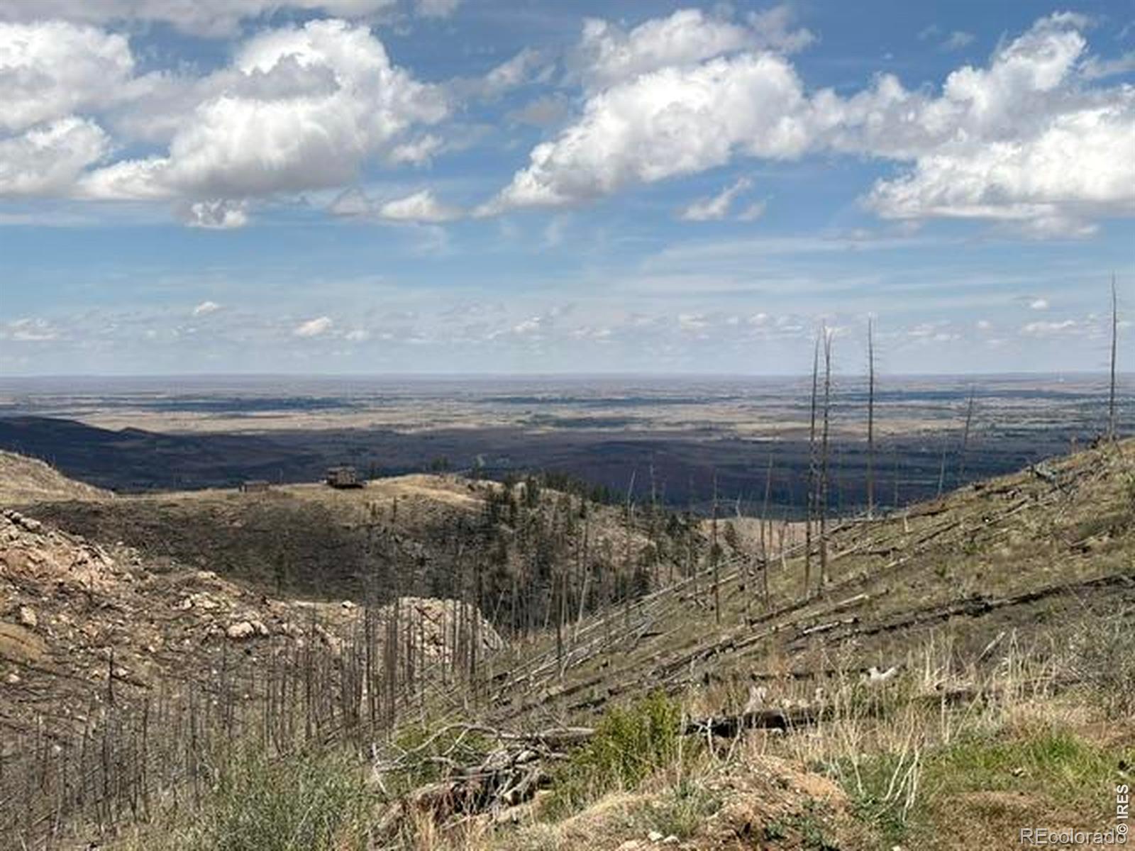 711 Saddle Ridge Road Bellvue CO 80512