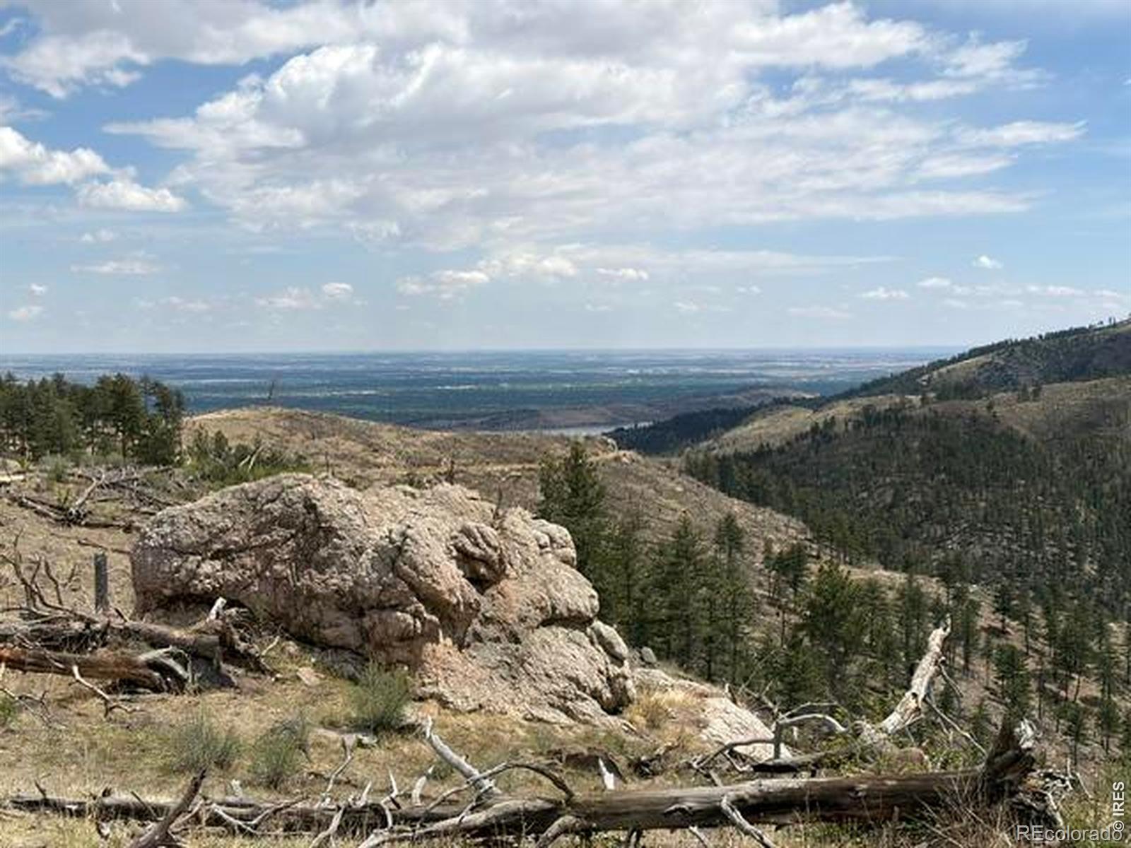 711 Saddle Ridge Road Bellvue CO 80512