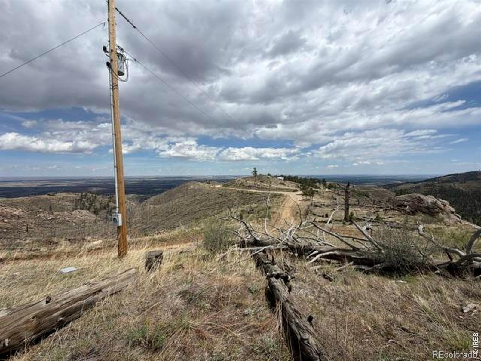 711 Saddle Ridge Road Bellvue CO 80512