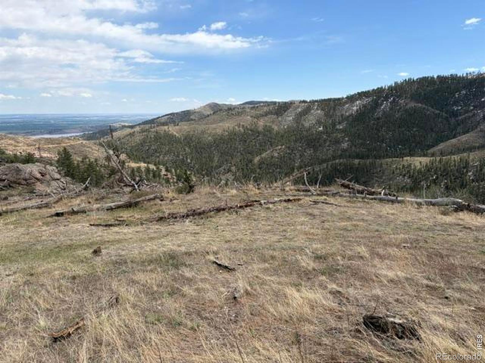 711 Saddle Ridge Road Bellvue CO 80512