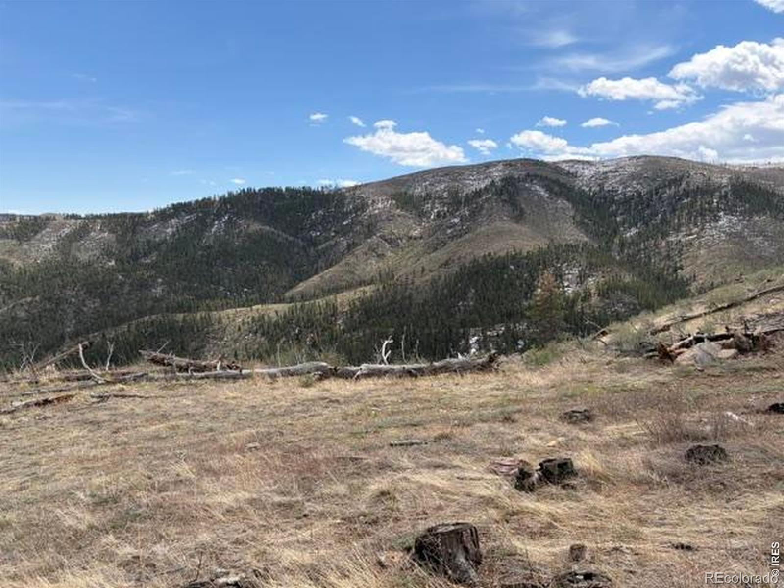 711 Saddle Ridge Road Bellvue CO 80512
