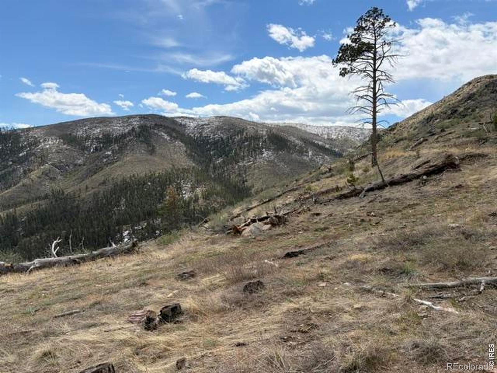 711 Saddle Ridge Road Bellvue CO 80512