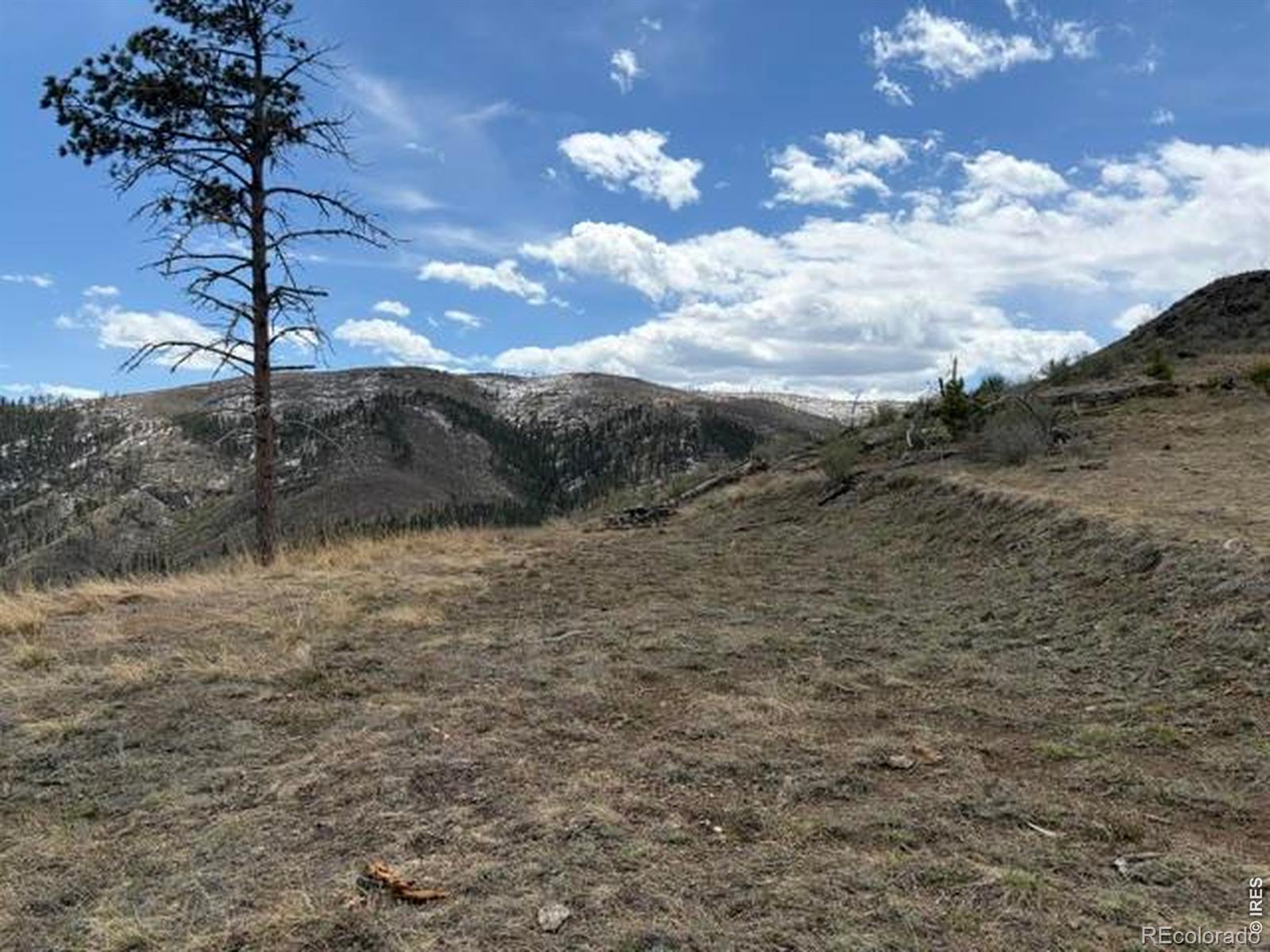 711 Saddle Ridge Road Bellvue CO 80512