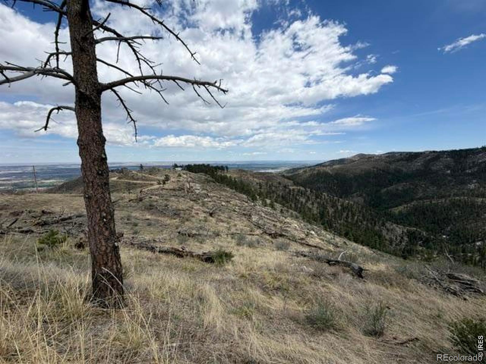 711 Saddle Ridge Road Bellvue CO 80512