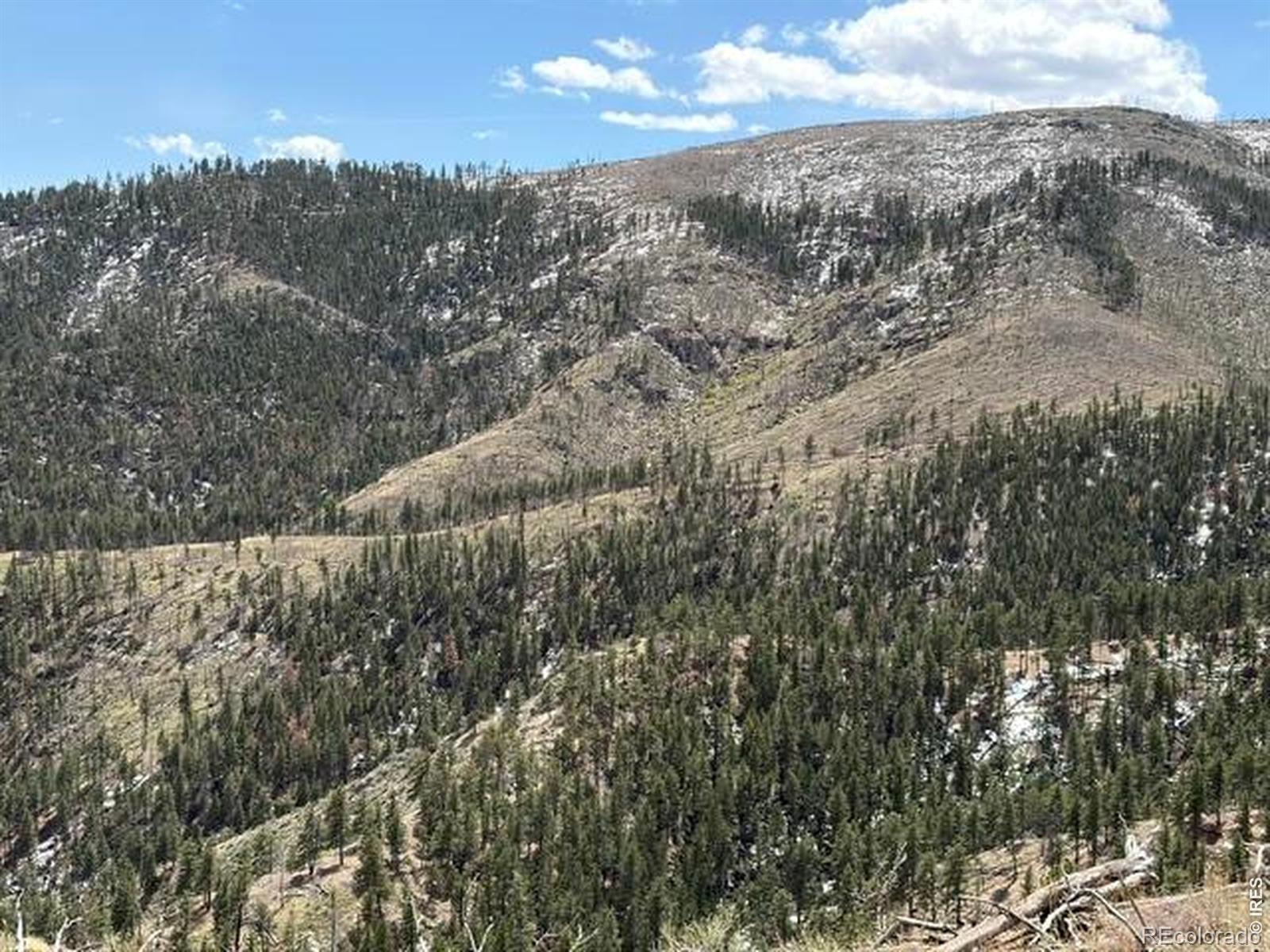 711 Saddle Ridge Road Bellvue CO 80512