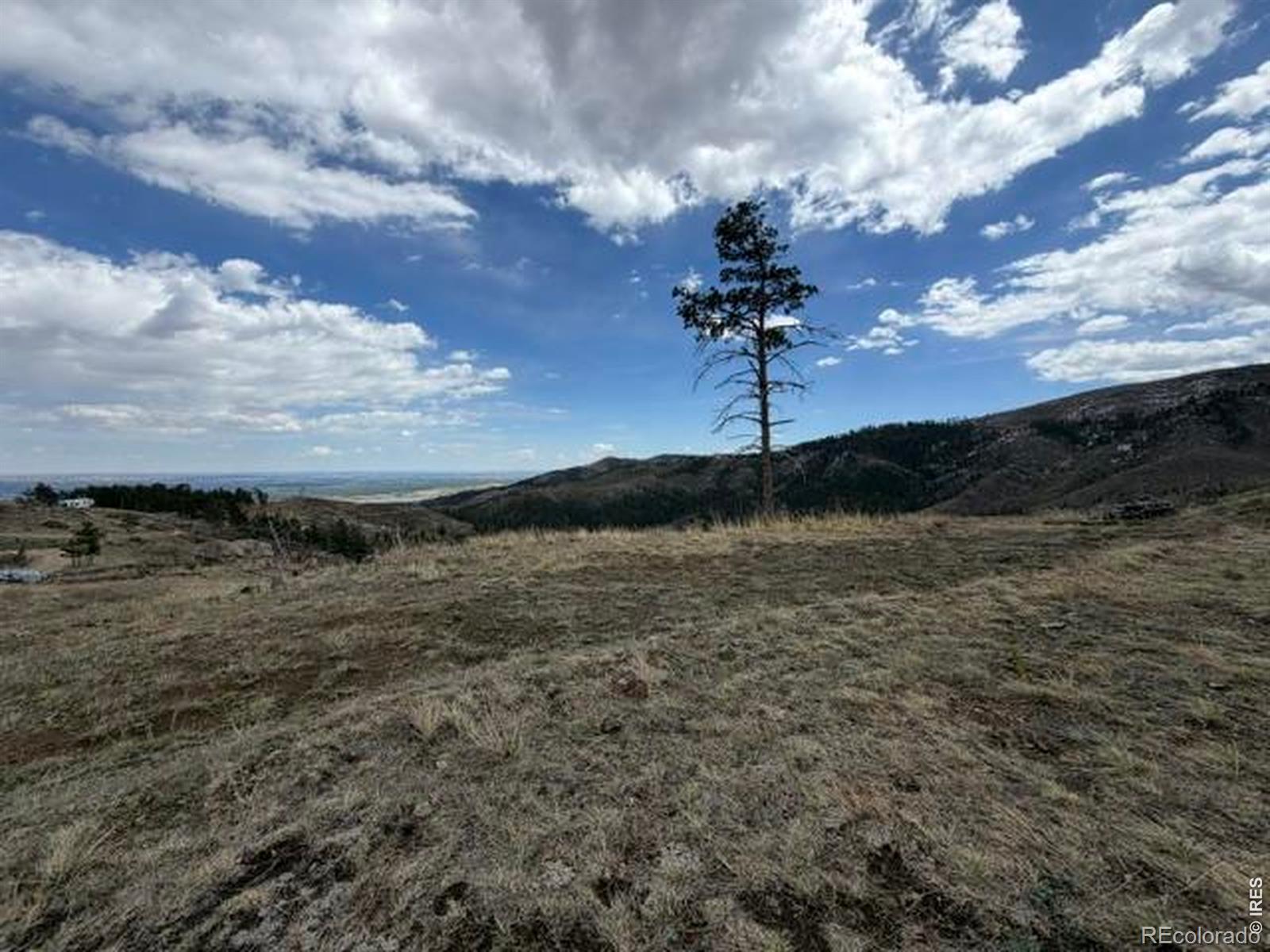 711 Saddle Ridge Road Bellvue CO 80512