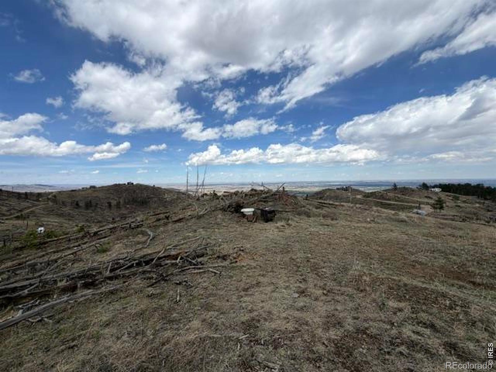 711 Saddle Ridge Road Bellvue CO 80512