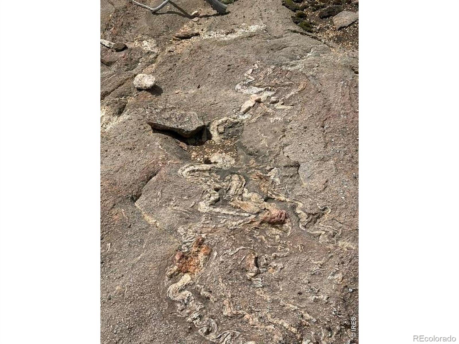 711 Saddle Ridge Road Bellvue CO 80512