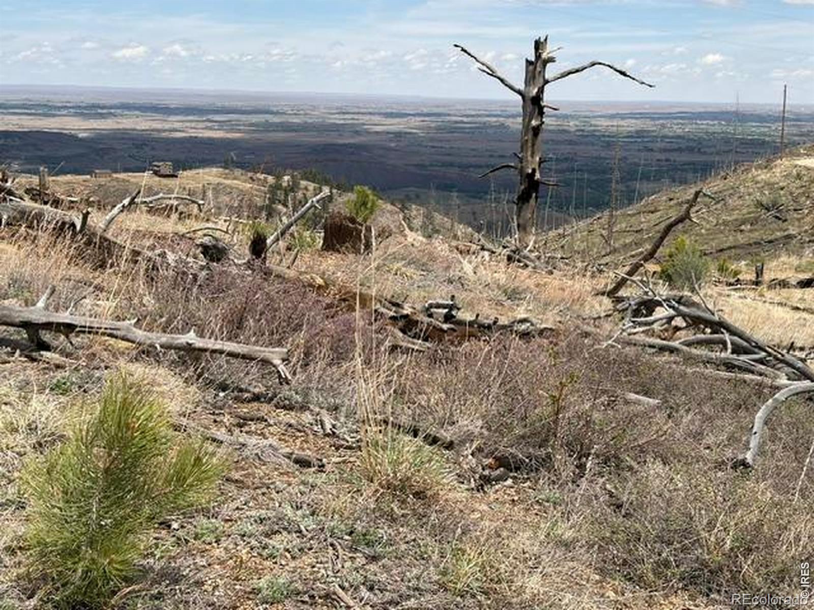 711 Saddle Ridge Road Bellvue CO 80512