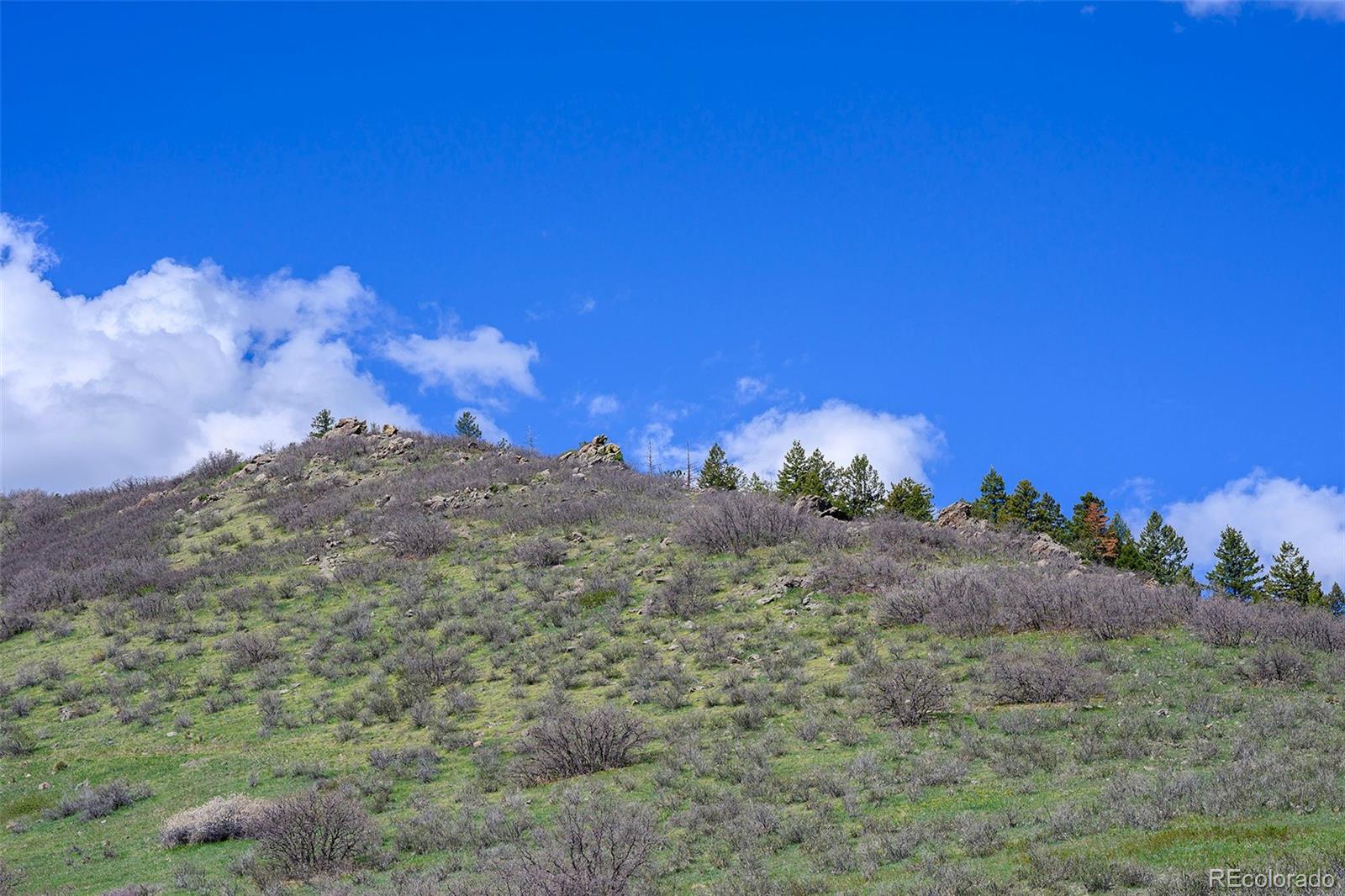 16653 Golden Rod Lane Morrison CO 80465