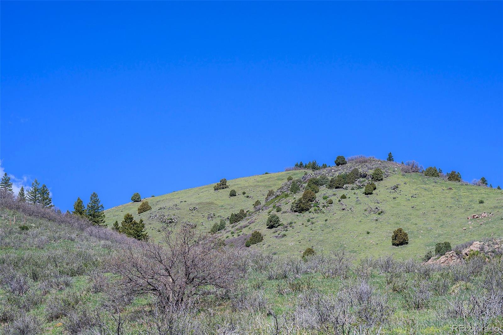 16653 Golden Rod Lane Morrison CO 80465