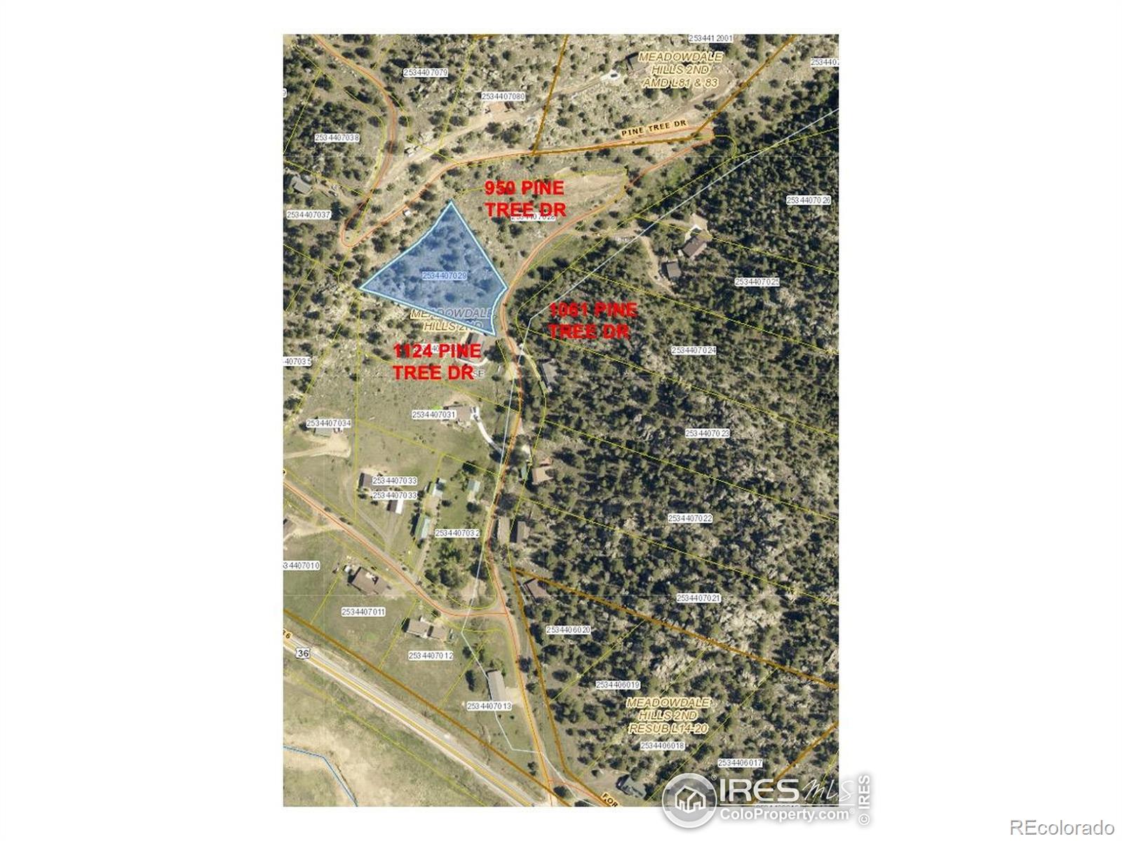 1050 Pine Tree Drive Estes Park CO 80517