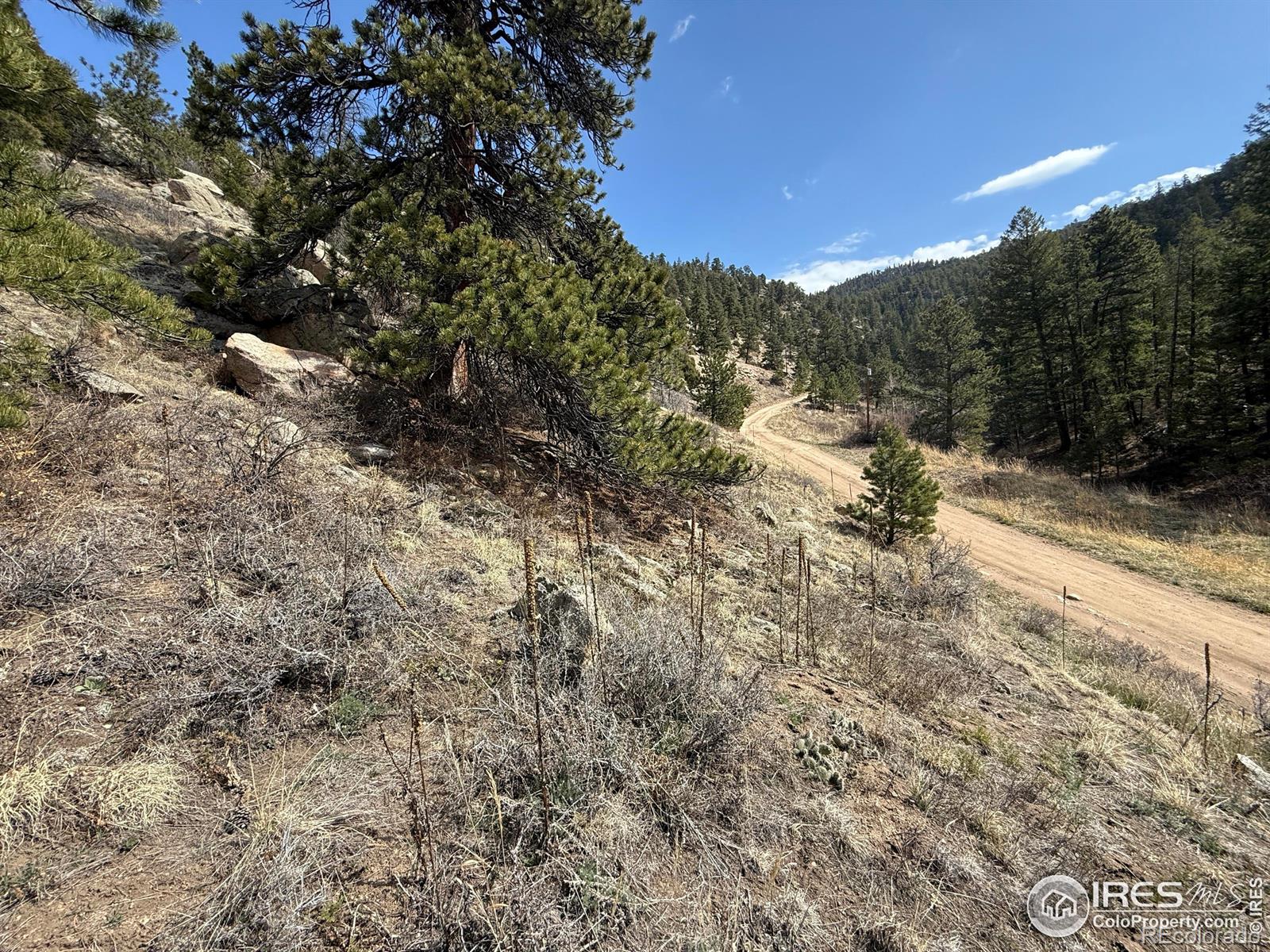1050 Pine Tree Drive Estes Park CO 80517