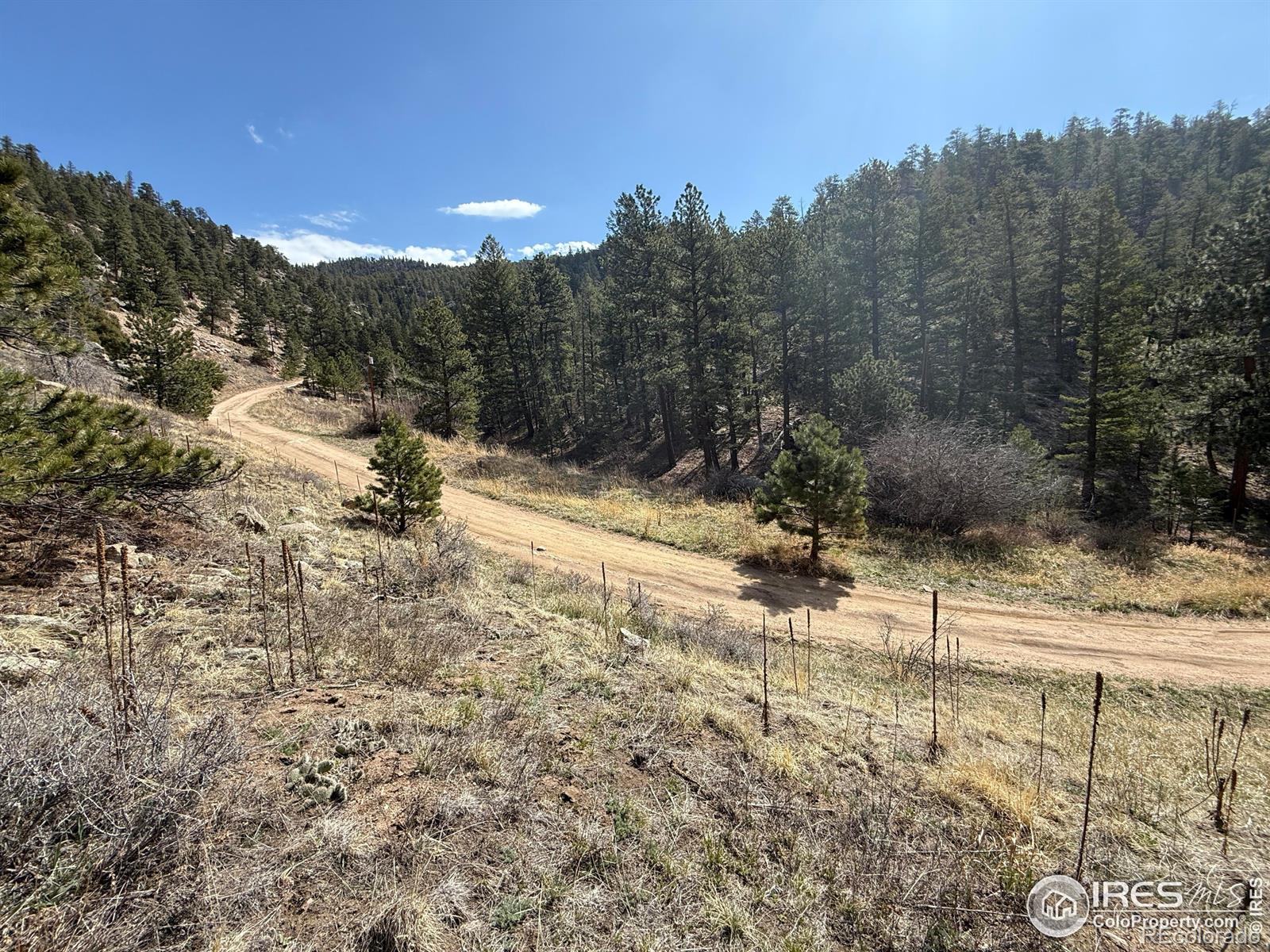 1050 Pine Tree Drive Estes Park CO 80517