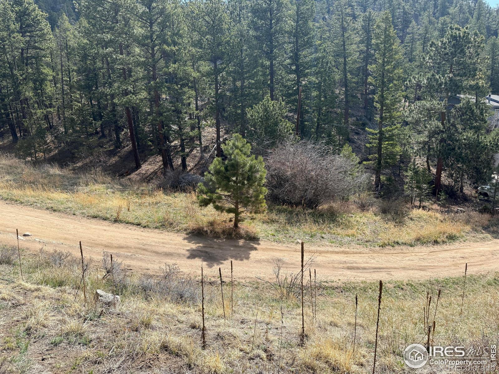 1050 Pine Tree Drive Estes Park CO 80517