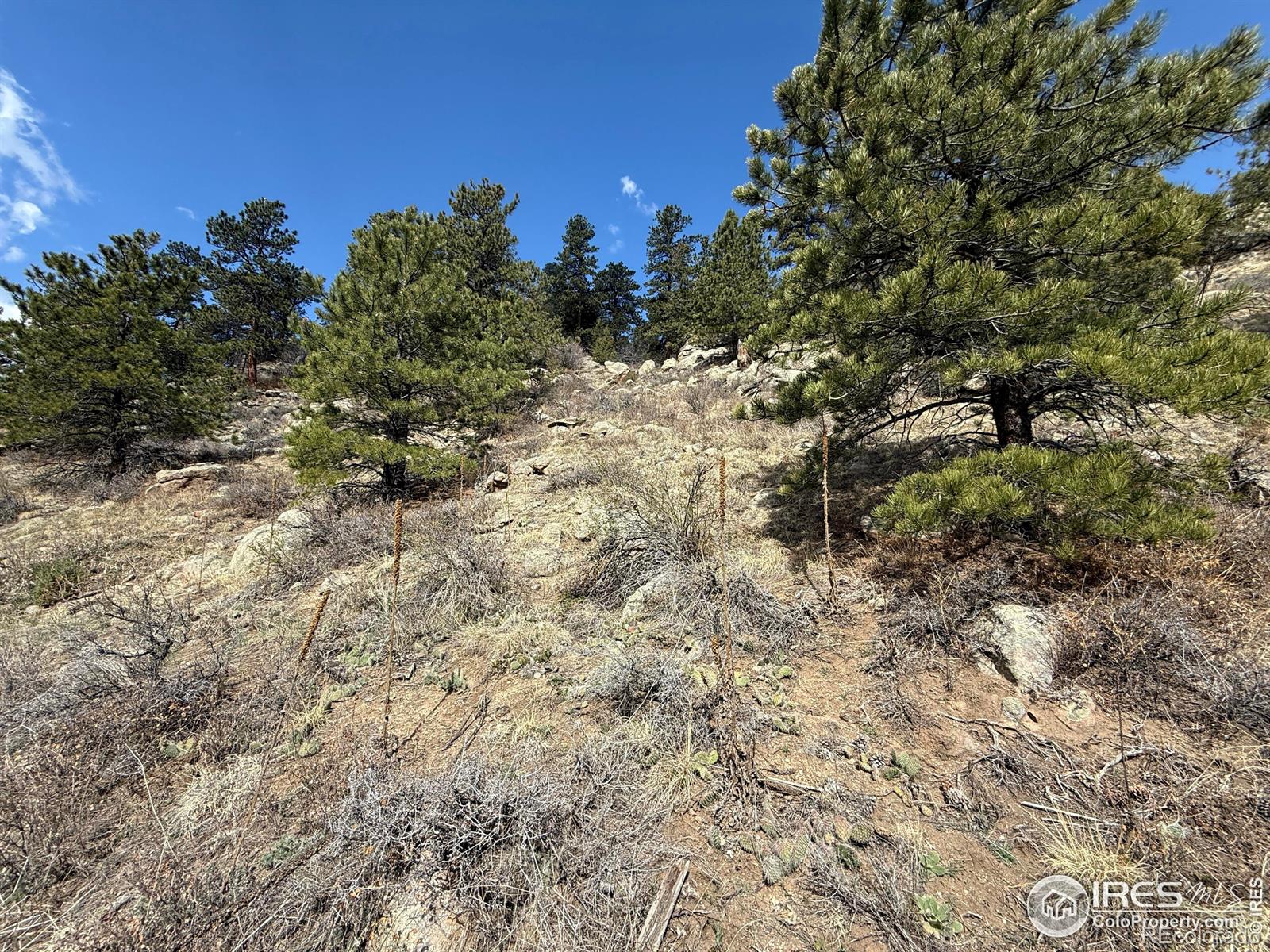 1050 Pine Tree Drive Estes Park CO 80517