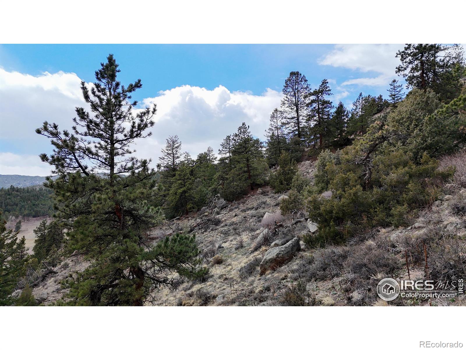 1050 Pine Tree Drive Estes Park CO 80517