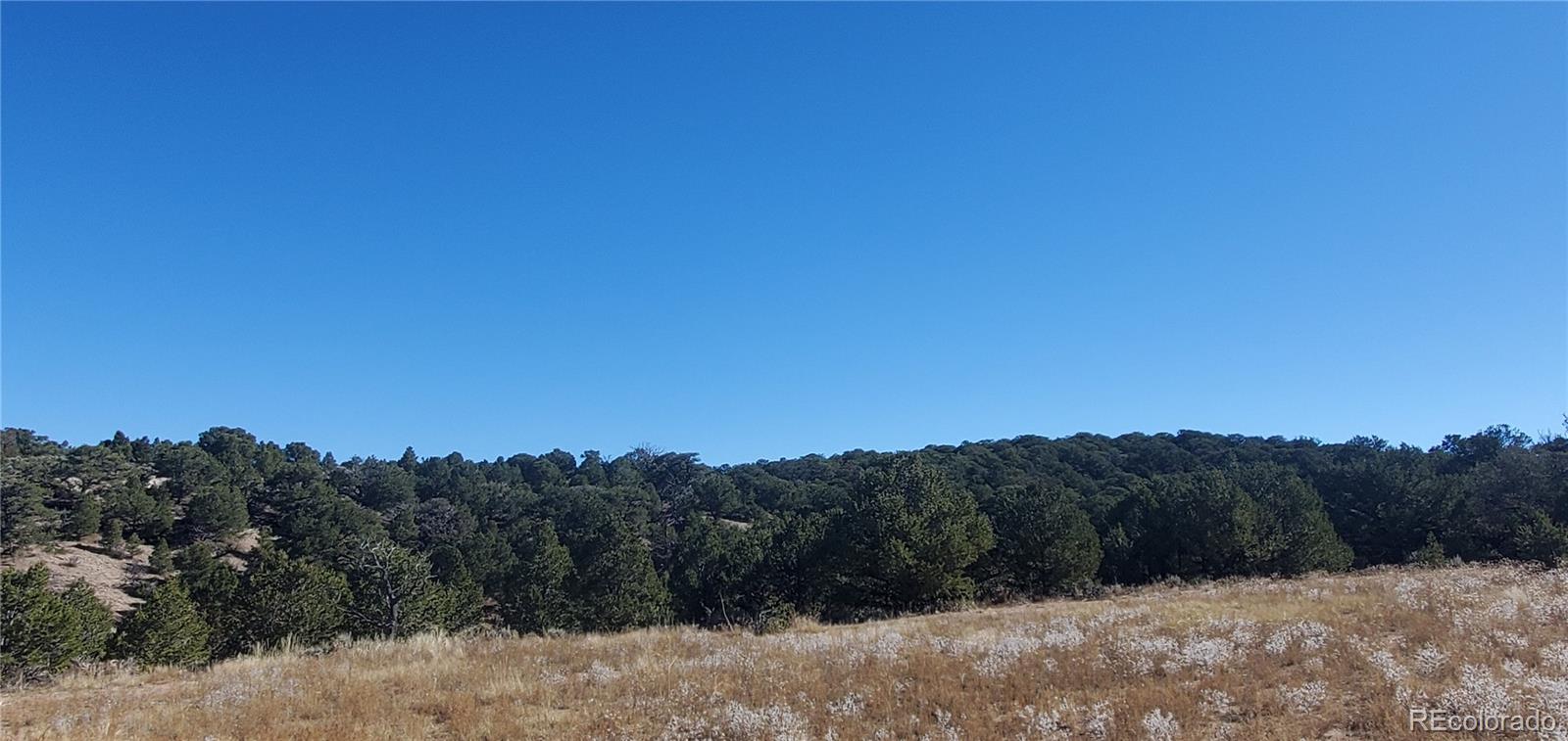 Lot 7356 Bidwell Road Fort Garland CO 81133