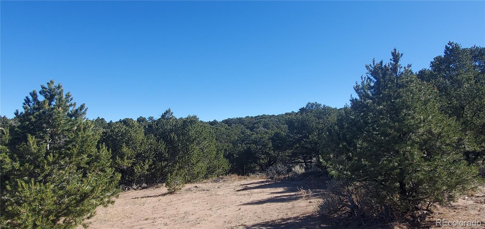 Lot 7356 Bidwell Road Fort Garland CO 81133