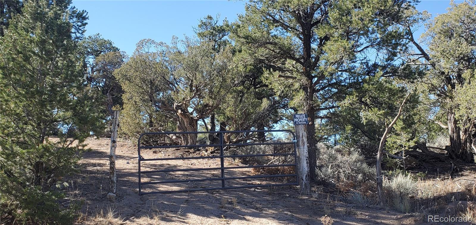 Lot 7356 Bidwell Road Fort Garland CO 81133