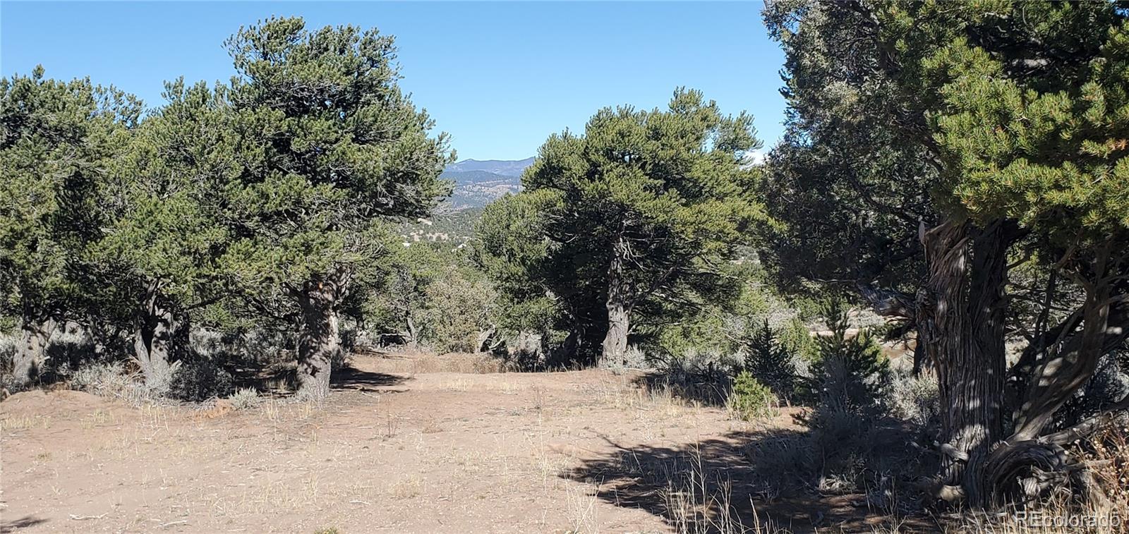 Lot 7356 Bidwell Road Fort Garland CO 81133