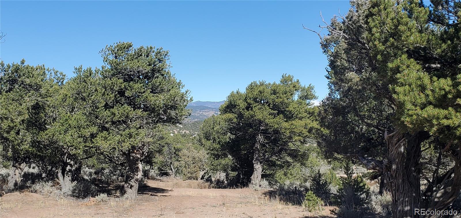 Lot 7356 Bidwell Road Fort Garland CO 81133