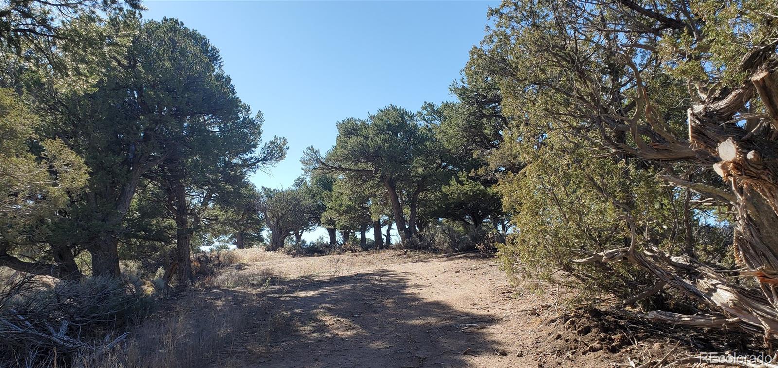 Lot 7356 Bidwell Road Fort Garland CO 81133