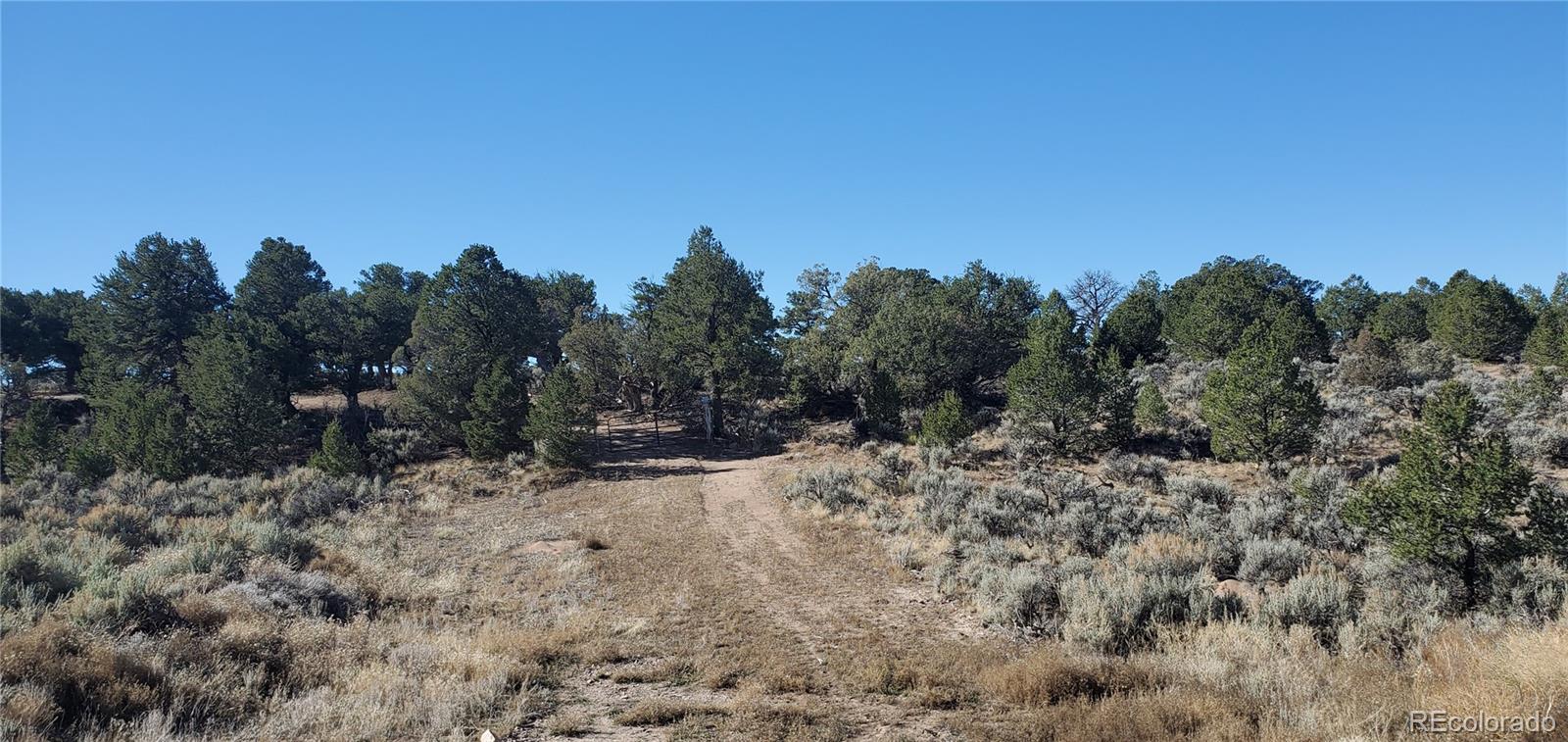 Lot 7356 Bidwell Road Fort Garland CO 81133