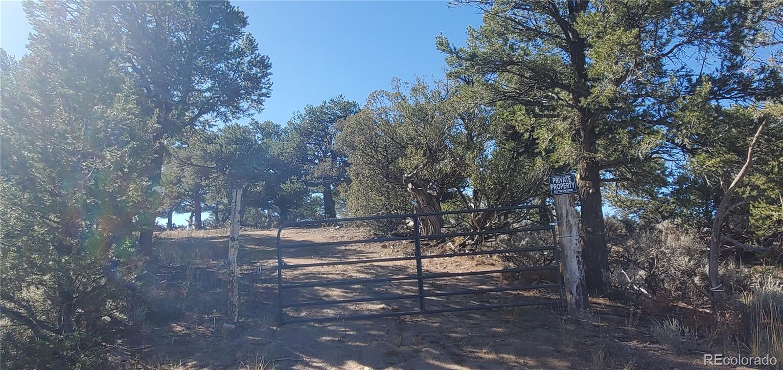 Lot 7356 Bidwell Road Fort Garland CO 81133