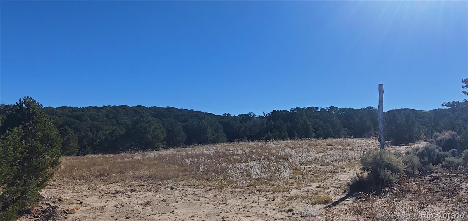 Lot 7356 Bidwell Road Fort Garland CO 81133