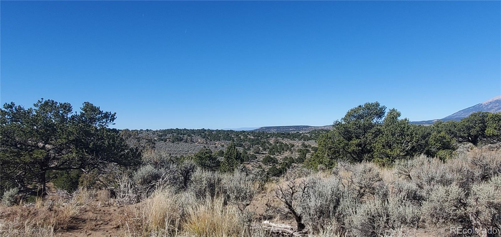Lot 7356 Bidwell Road Fort Garland CO 81133