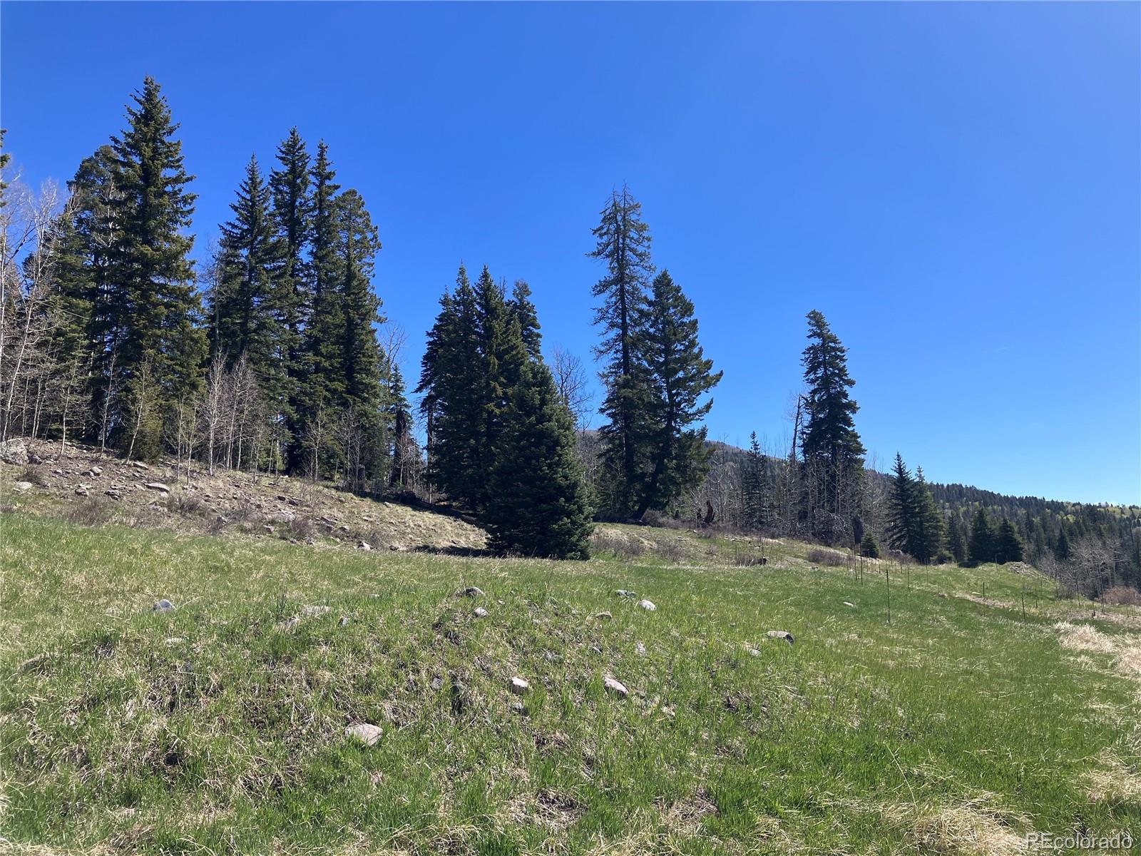222 Lost Valley Drive Creede CO 81130
