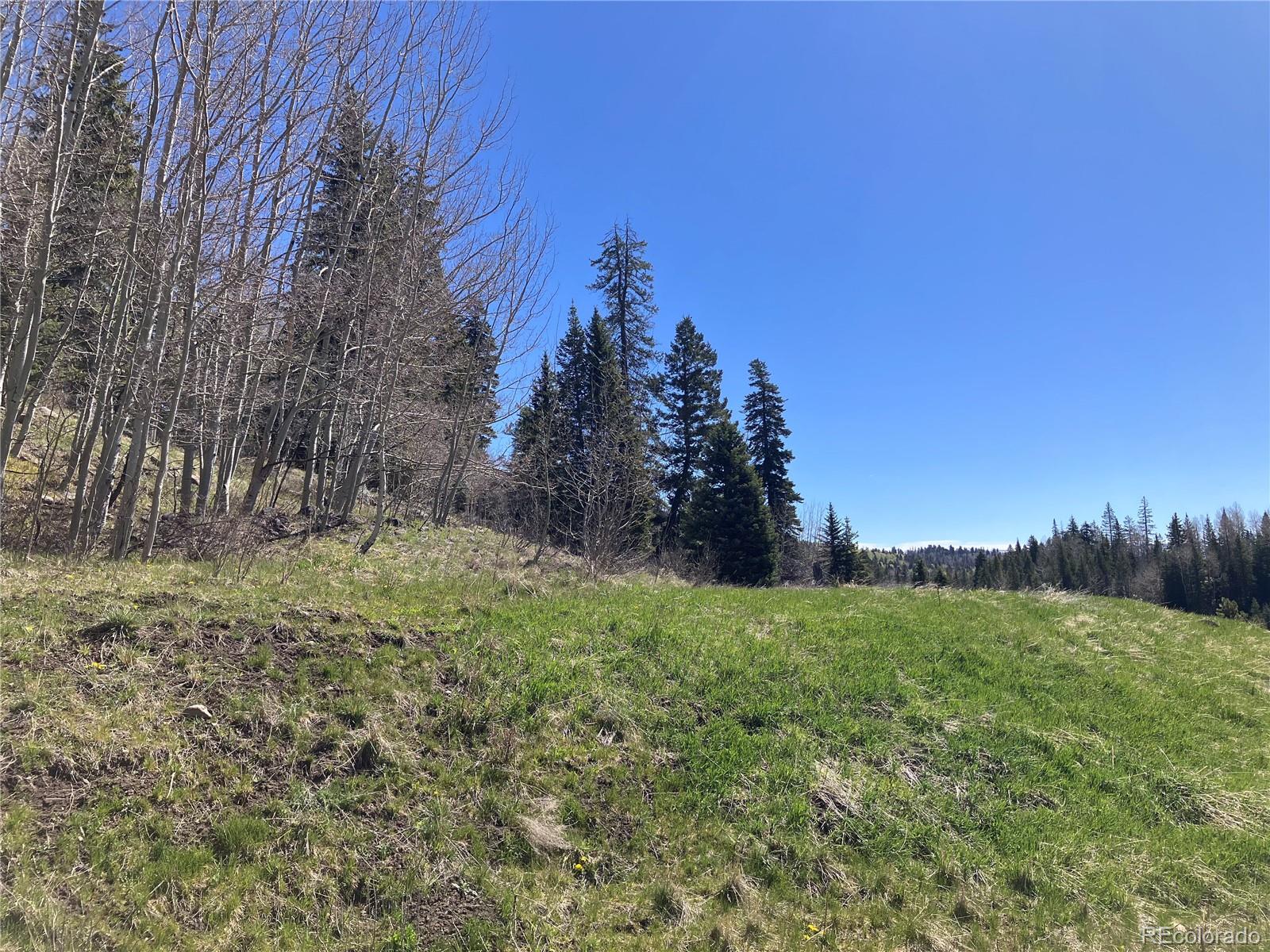 222 Lost Valley Drive Creede CO 81130