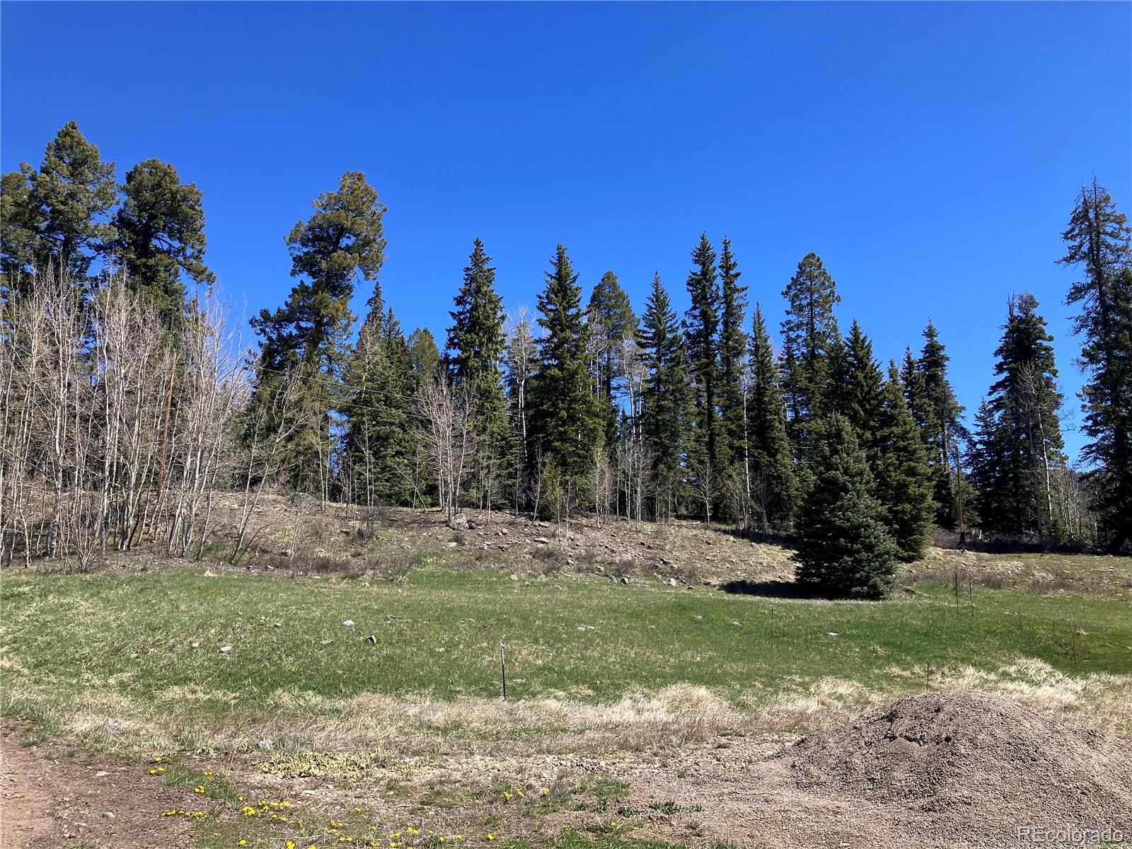 222 Lost Valley Drive Creede CO 81130