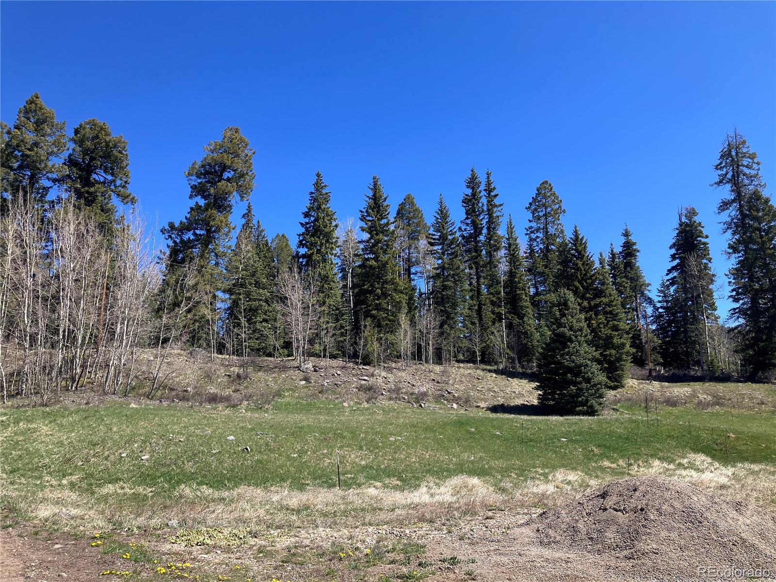222 Lost Valley Drive Creede CO 81130