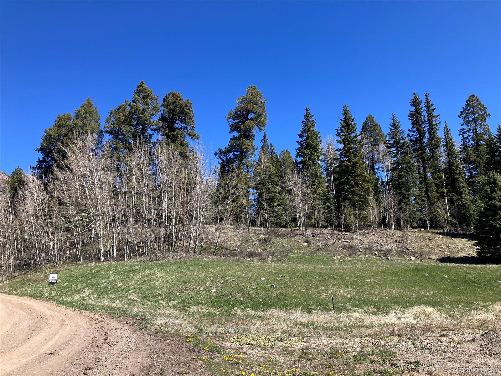 222 Lost Valley Drive Creede CO 81130