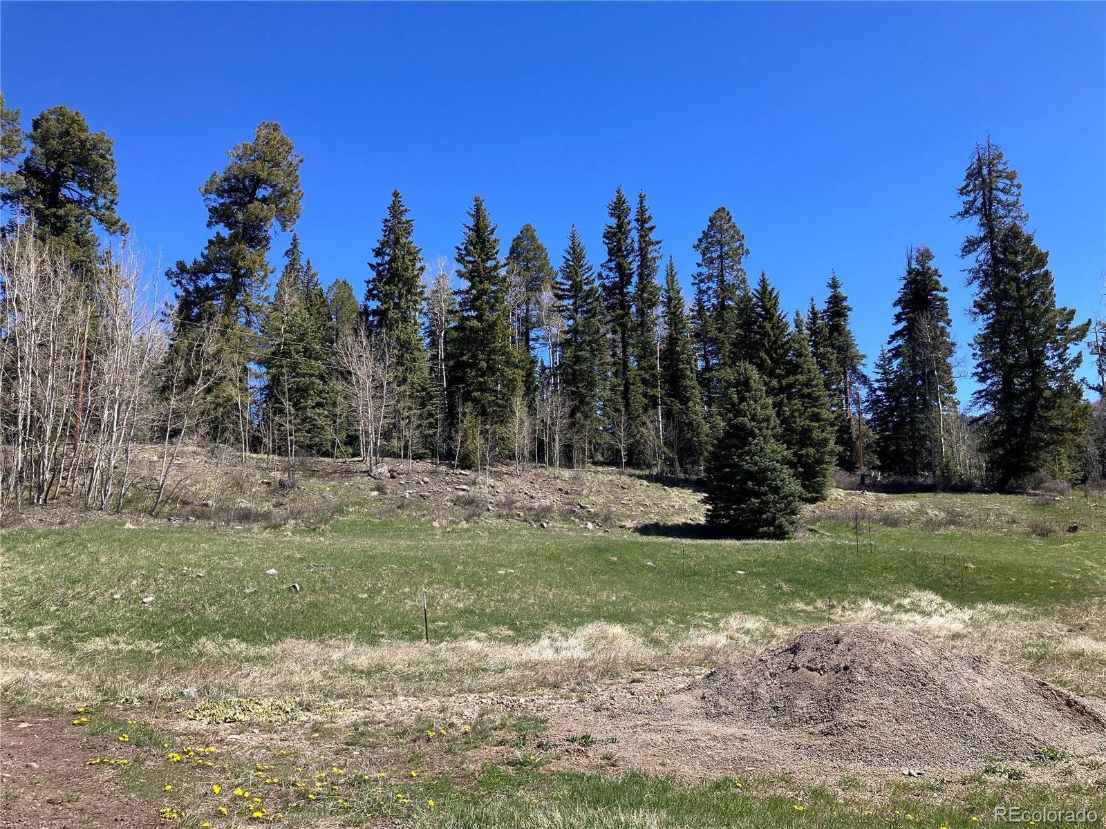 222 Lost Valley Drive Creede CO 81130